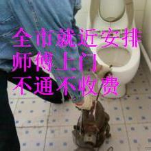合肥瑤海區志邦家政服務部 專業家政服務，為您的家庭煥發溫馨與潔凈